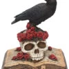 Rabe Auf Rosen Mit Totenschädel Figur 17cm -Halloween Kostüme Rabatte heartaches reflection rabe auf totenkopf mit rosen heartaches reflection black raven on skull with roses figurine 54573 01