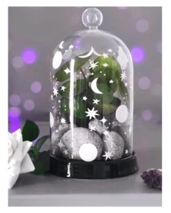 Empyrean Display Glaskuppel KILLSTAR