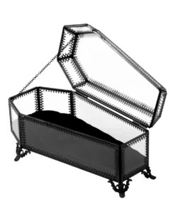 Glas Sarg Schatulle KILLSTAR