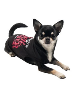 Mommy's Hellraiser Hundekostüm KILLSTAR -Halloween Kostüme Rabatte killstar mommys hellraiser hundeveste killstar mommys hellraiser hundekostuem killstar fashion 52133 03
