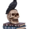 Rabe Auf Totenkopf Gothic Figur 10cm 2 Rabe Auf Totenkopf Gothic Figur 10cm -Halloween Kostüme Rabatte ravens spell gothic dekofigur 10cm ravens spell figurine rabe auf totenkopf gothic figur 53129