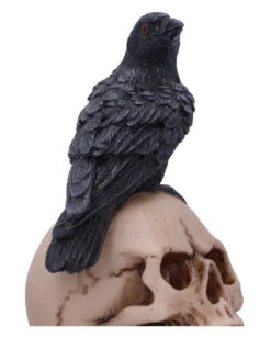 Rabe Auf Totenkopf Gothic Figur 10cm -Halloween Kostüme Rabatte ravens spell gothic dekofigur 10cm ravens spell figurine rabe auf totenkopf gothic figur 53129 6