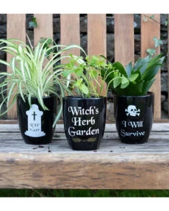 R.I.P. Pflanzenschale 14cm -Halloween Kostüme Rabatte rip gothic blumentopf rip gothic pflanzenschale rip gothic plant pot gothic deco 53097 03