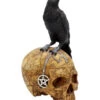 Salem Totenkopf Mit Rabe 2 Salem Totenkopf Mit Rabe -Halloween Kostüme Rabatte salem totenschaedel mit rabe salem totenkopf mit rabe salem skull with raven gothic deko 39298 01