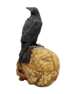 Salem Totenkopf Mit Rabe -Halloween Kostüme Rabatte salem totenschaedel mit rabe salem totenkopf mit rabe salem skull with raven gothic deko 39298 04