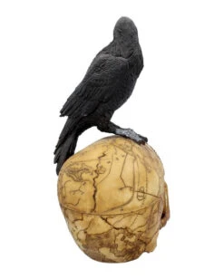 Salem Totenkopf Mit Rabe -Halloween Kostüme Rabatte salem totenschaedel mit rabe salem totenkopf mit rabe salem skull with raven gothic deko 39298 05