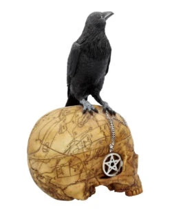 Salem Totenkopf Mit Rabe -Halloween Kostüme Rabatte salem totenschaedel mit rabe salem totenkopf mit rabe salem skull with raven gothic deko 39298 06