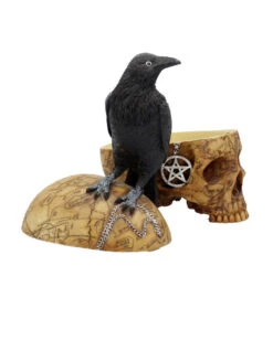 Salem Totenkopf Mit Rabe -Halloween Kostüme Rabatte salem totenschaedel mit rabe salem totenkopf mit rabe salem skull with raven gothic deko 39298 07