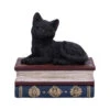 Schwarze Katze Auf Hexenbücher Box 11,7cm 1 Schwarze Katze Auf Hexenbücher Box 11,7cm -Halloween Kostüme Rabatte schwarze katze auf zauberbuecherbox black salems cat on spellbook box halloween tischdekoration 50947 01