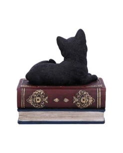 Schwarze Katze Auf Hexenbücher Box 11,7cm -Halloween Kostüme Rabatte schwarze katze auf zauberbuecherbox black salems cat on spellbook box halloween tischdekoration 50947 04