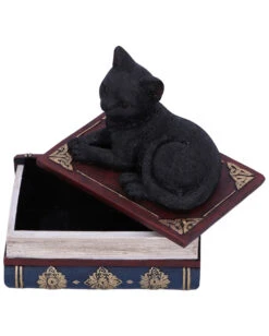 Schwarze Katze Auf Hexenbücher Box 11,7cm -Halloween Kostüme Rabatte schwarze katze auf zauberbuecherbox black salems cat on spellbook box halloween tischdekoration 50947 05