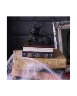 Schwarze Katze Auf Hexenbücher Box 11,7cm -Halloween Kostüme Rabatte schwarze katze auf zauberbuecherbox black salems cat on spellbook box halloween tischdekoration 50947 07