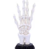 Skeletthand Mit Handlese Symbolen -Halloween Kostüme Rabatte skeletthand mit wahrsage symbolen skeleton hand w fortune telling symbols 50338 01