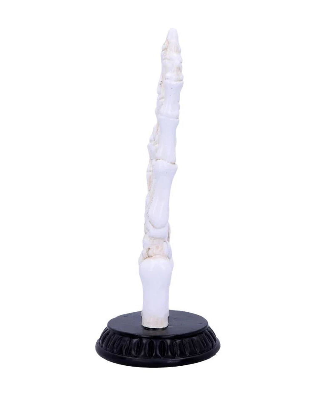 Skeletthand Mit Handlese Symbolen 4 Skeletthand Mit Handlese Symbolen – Bild 2