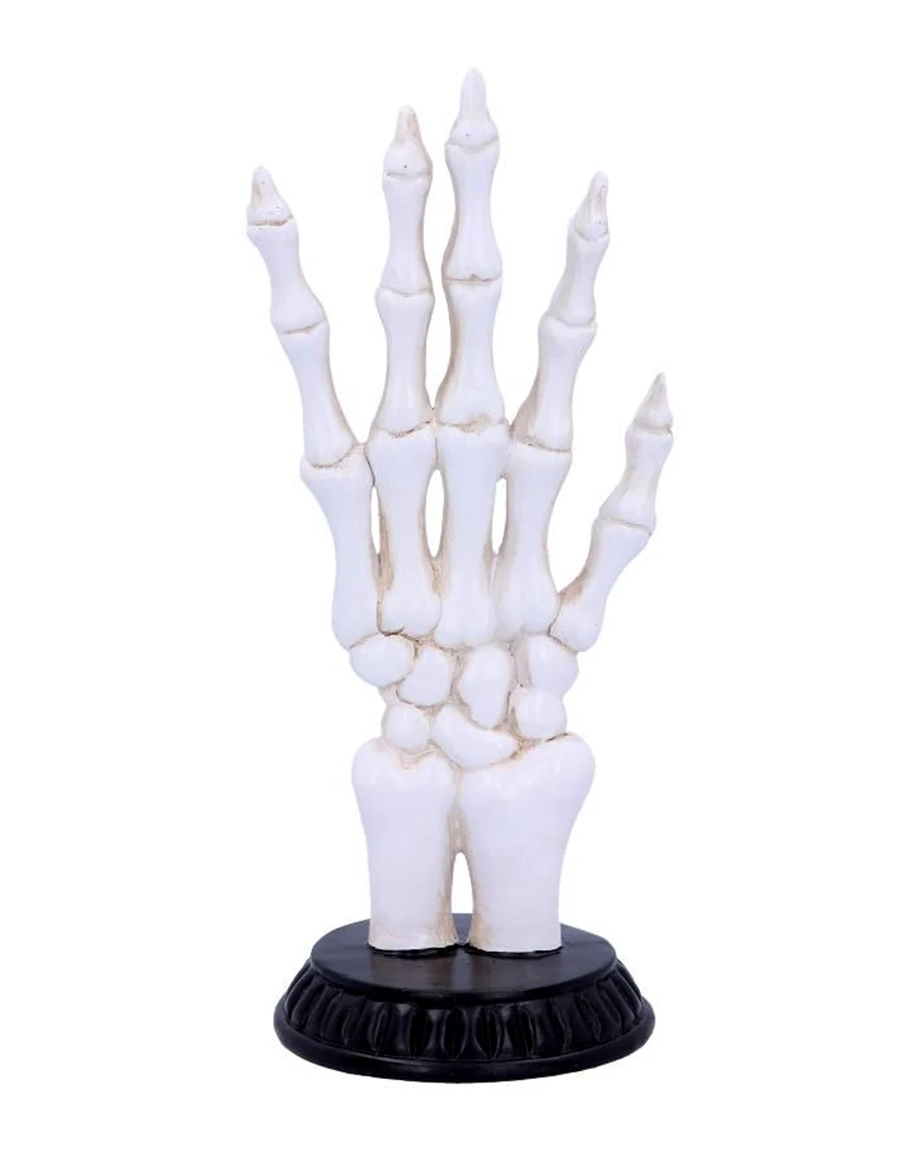 Skeletthand Mit Handlese Symbolen 5 Skeletthand Mit Handlese Symbolen – Bild 3