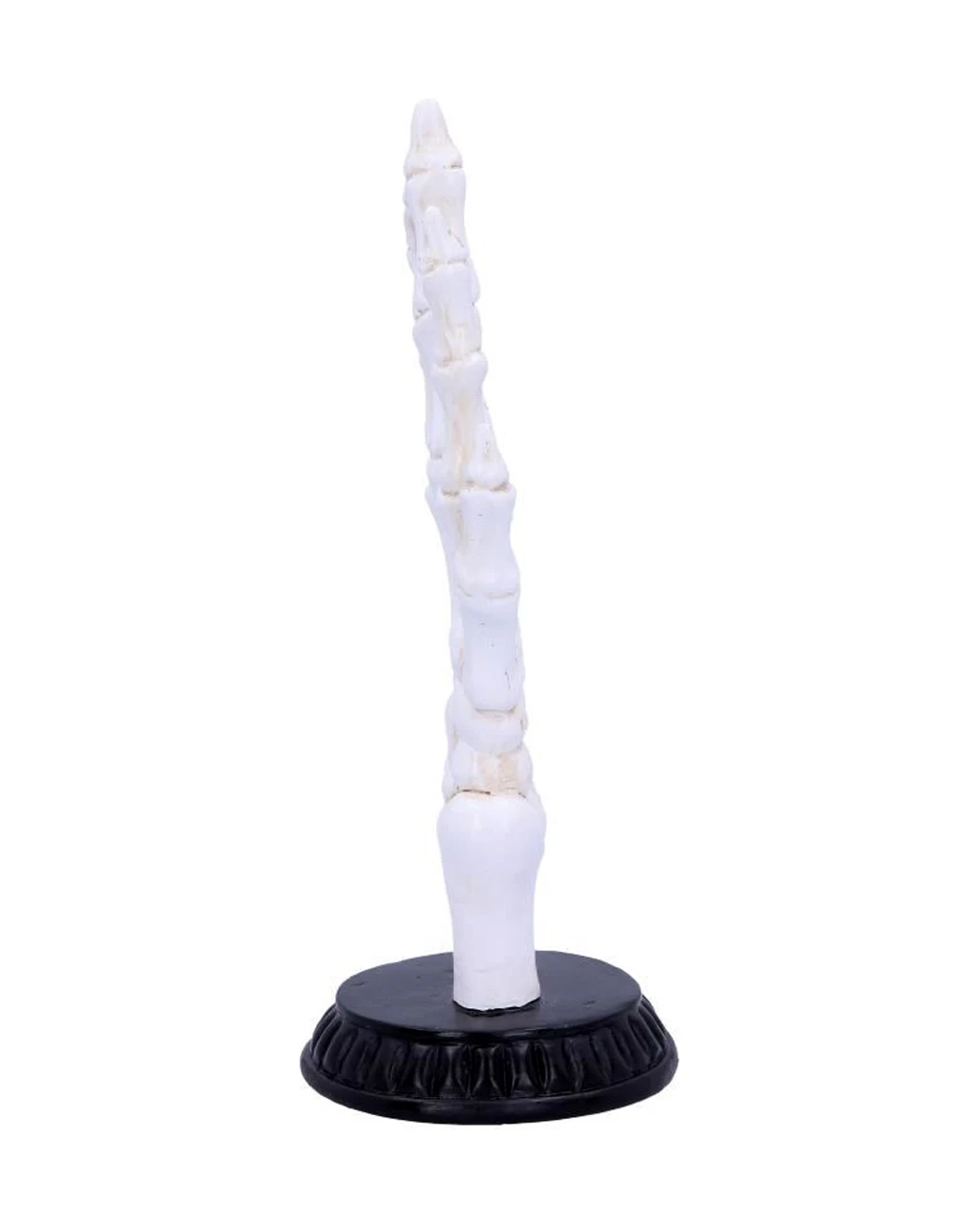 Skeletthand Mit Handlese Symbolen 6 Skeletthand Mit Handlese Symbolen – Bild 4